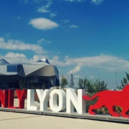 Appartement Dans Peniche Atypique Et Idyllique A Confluence Lyon Exterior foto